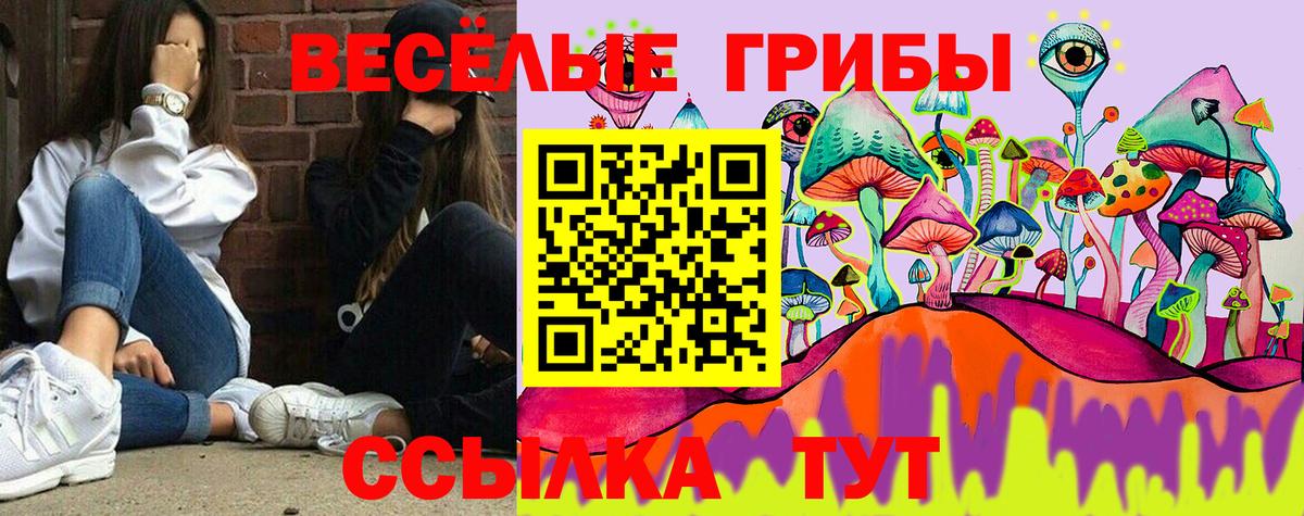 Псилоцибиновые грибы мицелий Михайловск